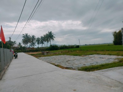 Chính chủ bán 113m2 đất full thổ cư oto tránh giá chỉ 450tr 4