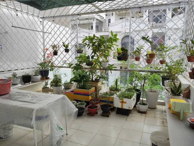 Nhà khu dân cư anh tuấn n8, nhà bè - xe hơi ngủ trong nhà - chỉ 7,6 tỷ 4