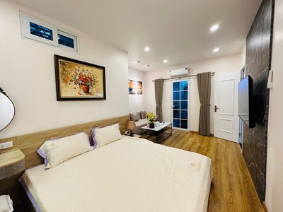 Siêu hiếm, bán nhà vĩnh phúc, ô tô tránh, chỉ 20 tỷ 3