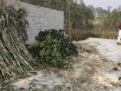 Bán gấp giá rẻ nhà, đất chương dương 767m, cấp 4, mặt tiền 14m, 2 tỷ thường tín. 2