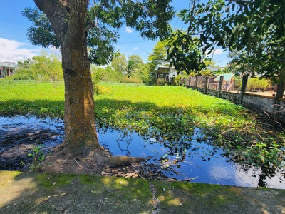 Đất gần biển cam bình phước hội, lagi chỉ 4tr/m2 đường ô tô 520m2 1