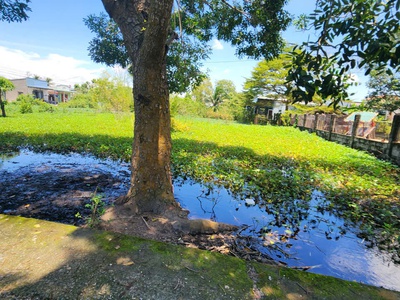 Đất gần biển cam bình phước hội, lagi chỉ 4tr/m2 đường ô tô 520m2 4