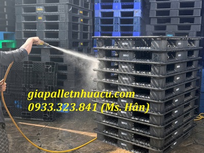 Thanh Lý Pallet Nhựa Tại Vũng Tàu Giá Rẻ Nhất Thị Trường 4