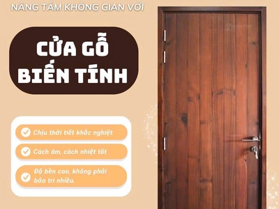 Cửa gỗ biến tính là gì  Giải pháp cửa gỗ cao cấp thách thức mọi thời tiết 0