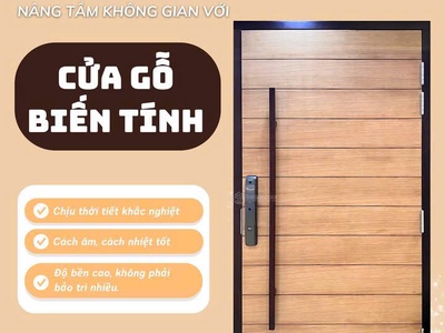 Cửa gỗ biến tính là gì  Giải pháp cửa gỗ cao cấp thách thức mọi thời tiết 2