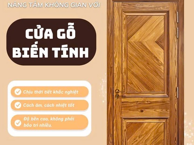 Cửa gỗ biến tính là gì  Giải pháp cửa gỗ cao cấp thách thức mọi thời tiết 3