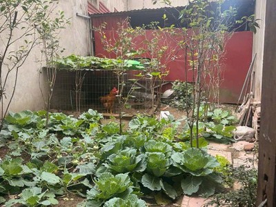  bán đất thanh am   long biên   40m    giá chỉ 5,2 tỷ 0