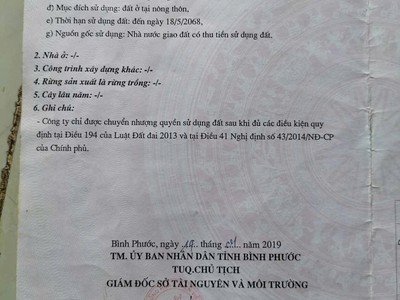 Đất đẹp giá đầu tư cần bán nhanh lô đất tại xã tiến hưng,tp.đồng xoài, bình phước 2