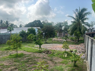 Bán nhà đất 2 mặt tiền lộ tại tp cần thơ, 1830m2 chỉ 4.9 tỷ. lh 0901045679. 2