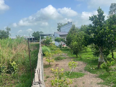 Bán nhà đất 2 mặt tiền lộ tại tp cần thơ, 1830m2 chỉ 4.9 tỷ. lh 0901045679. 3