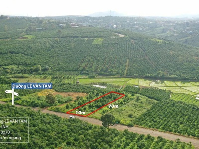 Bán đất mặt tiền lê văn tám   di linh, lâm đồng - 700m2 giá chỉ 2 tỷ 500 triệu 0