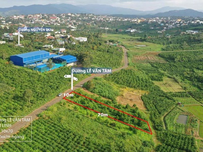 Bán đất mặt tiền lê văn tám   di linh, lâm đồng - 700m2 giá chỉ 2 tỷ 500 triệu 3