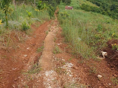 Bán đất rẫy 4,04 ha   full cà phê   bắc gia nghĩa, lâm đồng 3