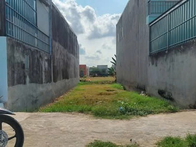 Bán lô đất đẹp tại ấp rừng sến   mỹ hạnh, sổ mới 0