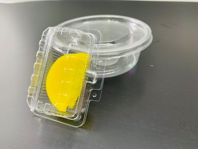 Khay nhựa, hộp nhựa đựng thực phẩm 2