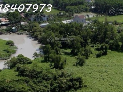 Bán đất cây lâu năm tại phước tân, hơn 20.000 m2, hot bao đẹp. giá 5.5 triệu/m2 4