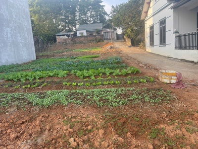 Sở hữu ngay lô đất nghỉ dưỡng đẹp - giá f0 - vị trí đắc địa tại tam đảo 2