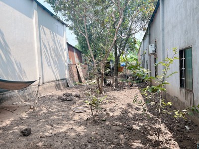 Chính chủ bán gấp đất giá tốt tại chánh phú hoà, bến cát. 0