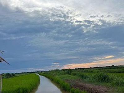 Chính chủ cần bán 2,6 mẫu đất ruộng nuôi quảng canh xen lúa 0