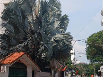 Bán nhà cần bán hxh 496 dương quảng hàm 72m2 ngang 4m 1 trệt 3 lầu nhỉnh 11 tỷ p. an nhơn 0