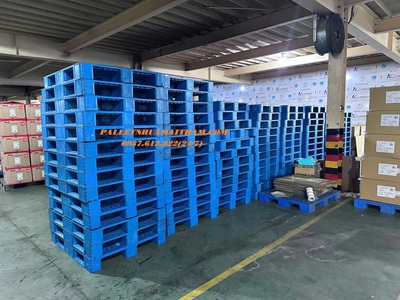 Phân Phối Pallet Nhựa Kê Kho Xuất Khẩu Giá Siêu Cạnh Tranh Tại Bến Tre 1