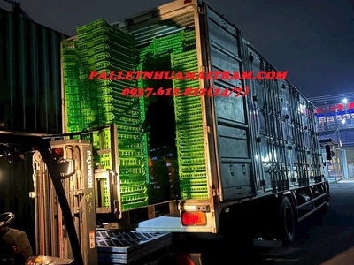 Phân Phối Pallet Nhựa Kê Kho   Xuất Khẩu Giá Siêu Cạnh Tranh Tại Bến Tre 7