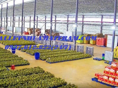 Phân Phối Pallet Nhựa Kê Kho Xuất Khẩu Giá Siêu Cạnh Tranh Tại Bến Tre 6