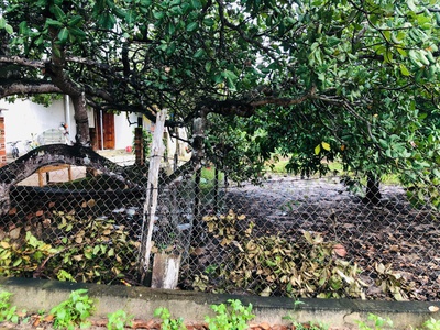 Bán 20m x 27m đất thổ cư gần ql55 - tân xuân - hàm tân giá rẻ nhất 800tr 1