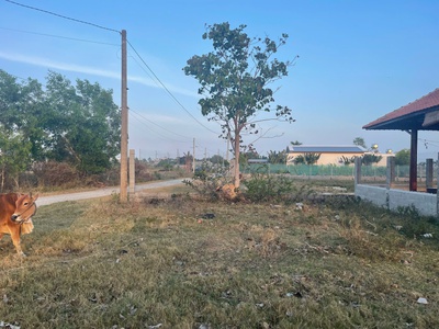 Bán 12m đất thổ cư hẻm đinh bọ lĩnh, phước hội, lagi giá mềm 4