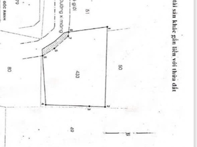 Siêu phẩm mặt tiền xuân thới đông   ngang 20m hiếm có khó tìm 2