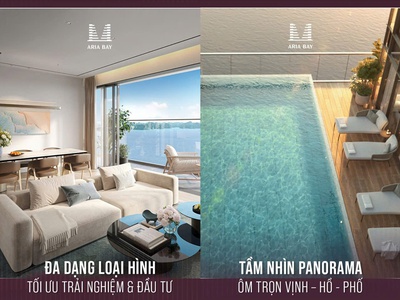 Bán căn hộ dự án aria hạ long quỹ đất mặt biển cuối cùng 2
