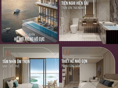 Bán căn hộ dự án aria hạ long quỹ đất mặt biển cuối cùng 4