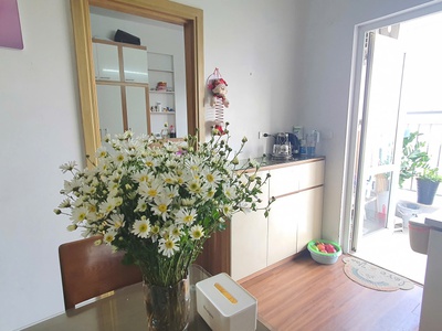 Bán căn hộ 65m2 chung cư Thanh Hà Cienco 5 chỉ 3.2 tỉ 4