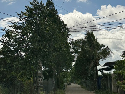 Đất đẹp  giá đầu tư  - cần bán lô đất  tại ấp 10, xã lương hòa, huyện bến lức, long an 2