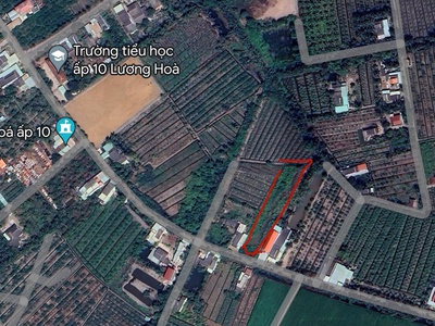 Đất đẹp  giá đầu tư  - cần bán lô đất  tại ấp 10, xã lương hòa, huyện bến lức, long an 3