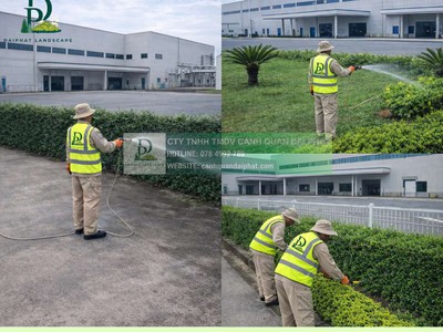 Dịch vụ cắt cỏ vệ sinh cảnh quan kcn Long Thành Đồng Nai 3