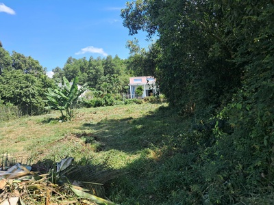 Bán siêu phẩm đất đẹp - phù hợp cho mọi gia đình 0