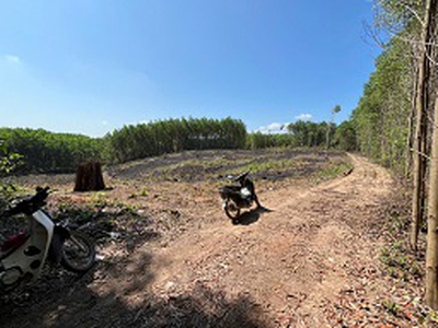 Đất trang trại view đẹp hòa nhơn, hòa vang, đà nẵng 2