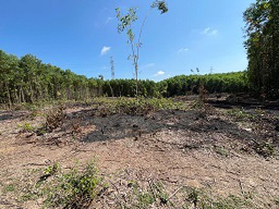 Đất trang trại view đẹp hòa nhơn, hòa vang, đà nẵng 0