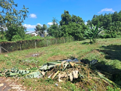 Bán siêu phẩm đất đẹp - phù hợp cho mọi gia đình 1