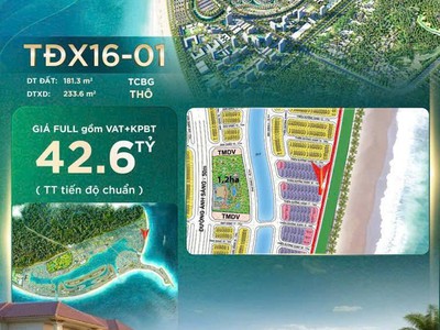 Giỏ hàng rẻ - độc - hiếm nhất vinhomes cần giờ - nhiều phân khúc giá 4