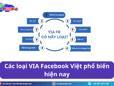 Tìm Hiểu Các Dòng VIA Facebook Phổ Biến Nhất 2026 0