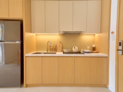 Cho thuê căn hộ mini duplex 1br tại sun urban city hà nam 4