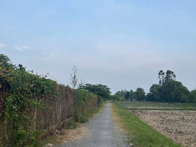 Chính chủ bán 2 nền đất liền kề hẻm đường d5, khóm 4, phường 5, tp trà vinh, trà vinh 1