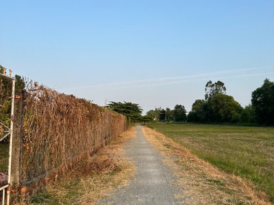 Chính chủ bán 2 nền đất liền kề hẻm đường d5, khóm 4, phường 5, tp trà vinh, trà vinh 2