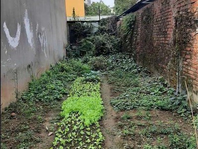 Bán đất ô cách long biên 63m hai thoáng ngõ thẳng giá 7,7x tỷ hàng cực hiếm cơ hội 1