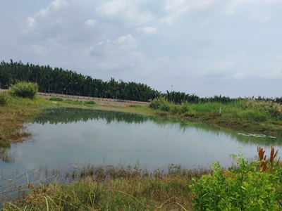 Chính chủ cần bán gấp đất tại xã bình khách, cần giờ, tp. hồ chí minh 2