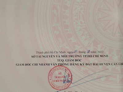 Chính chủ cần bán gấp đất tại xã bình khách, cần giờ, tp. hồ chí minh 4