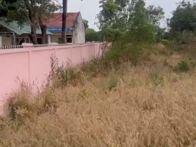 Đất đẹp chính chủ   cần bán tại ấp 3, xã thanh hòa, huyện bù đốp, bình phước 2