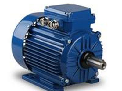 Động cơ điện Elektrim 0